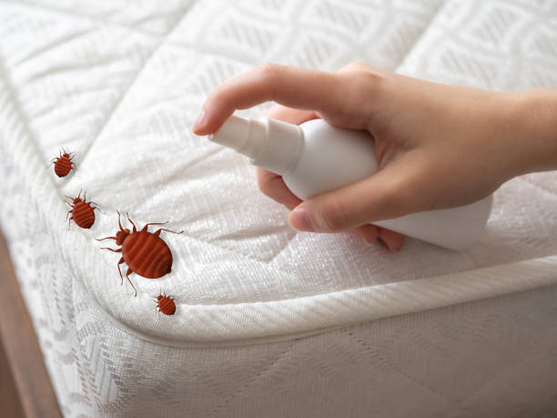 Best Emergency Pest Control  in Garden Grove, CA